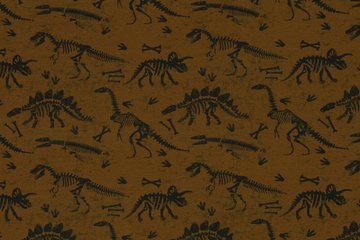 Sweat mit Dinosauriern, terracotta, 0,5 m